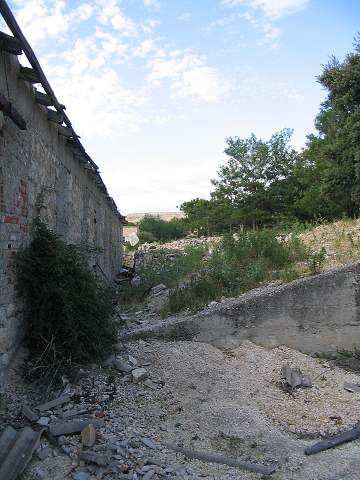 img00465.jpg