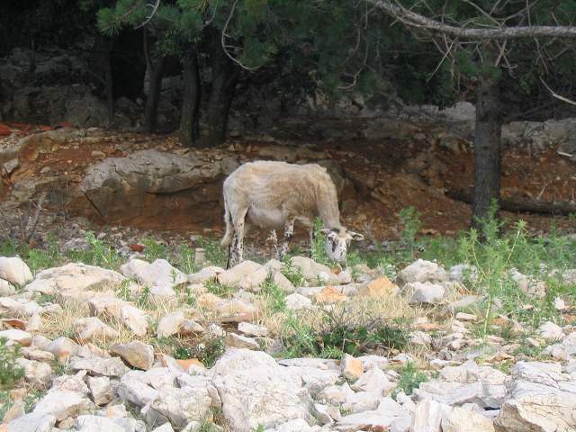 img00470.jpg