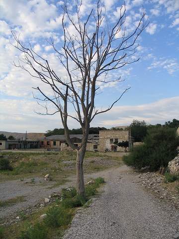 img00471.jpg
