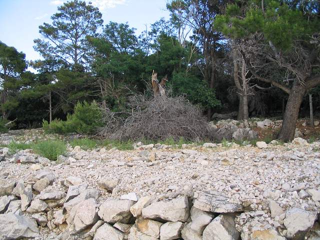 img00472.jpg