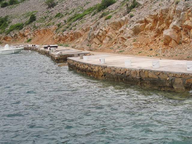 img00503.jpg