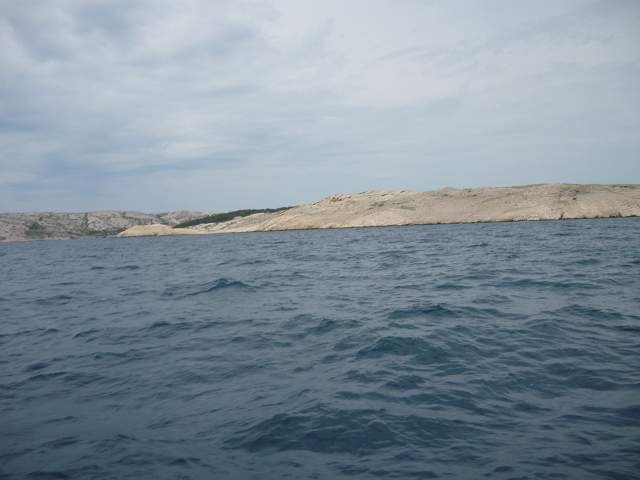 img00507.jpg