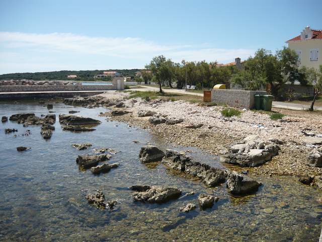 img00537.jpg
