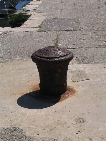 img00557.jpg
