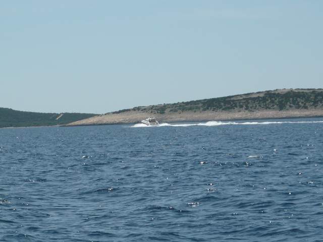 img00562.jpg