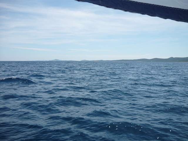 img00564.jpg