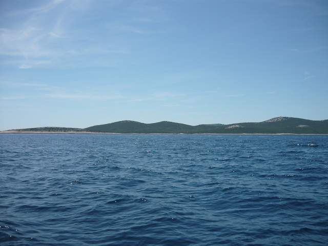 img00565.jpg