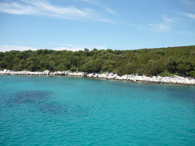 img00567.jpg