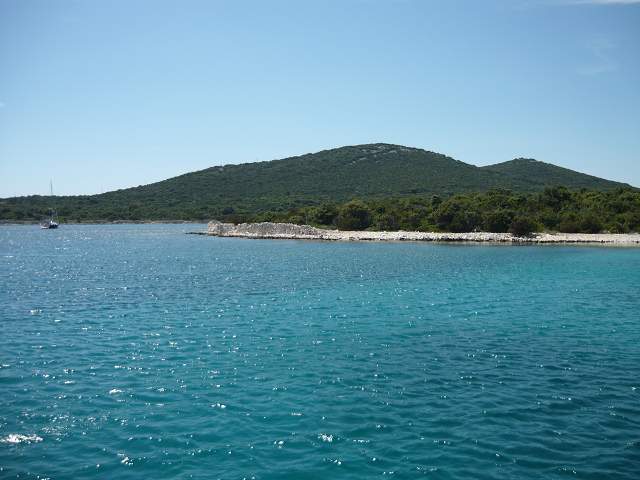 img00572.jpg