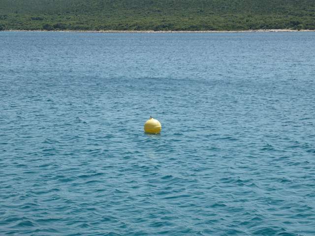 img00579.jpg