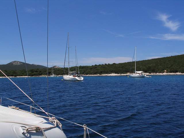 img00584.jpg