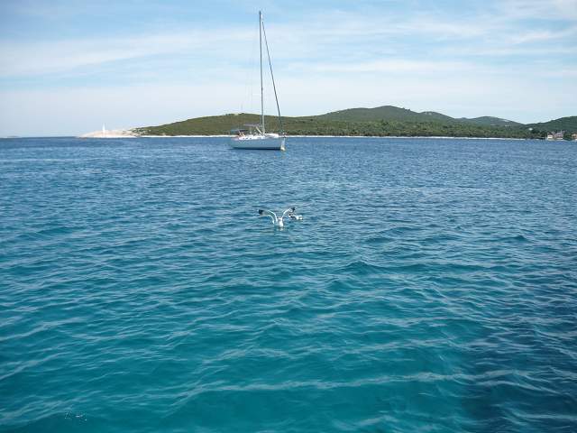 img00588.jpg