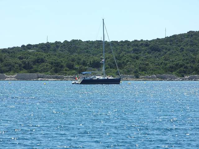 img00604.jpg