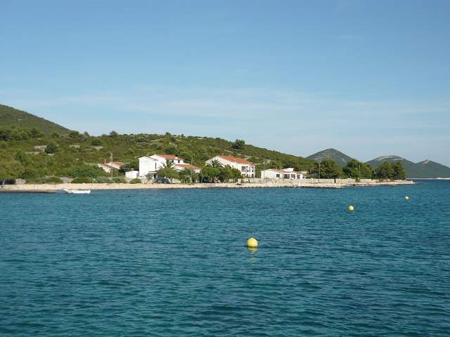 img00610.jpg