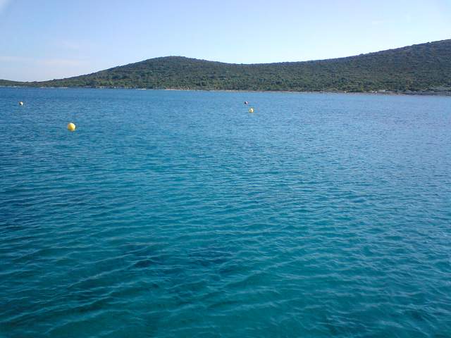 img00616.jpg