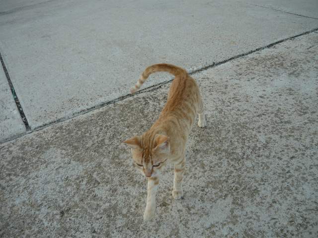 img00633.jpg