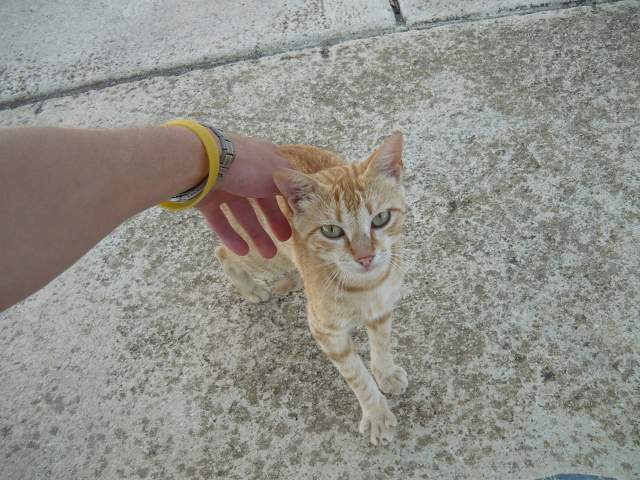 img00634.jpg