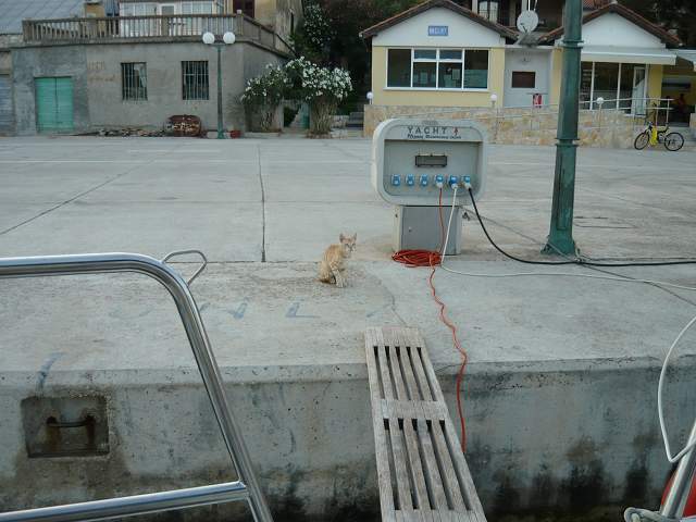 img00638.jpg