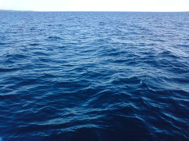img00639.jpg