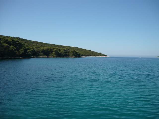 img00655.jpg
