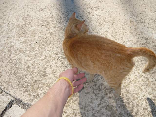 img00656.jpg
