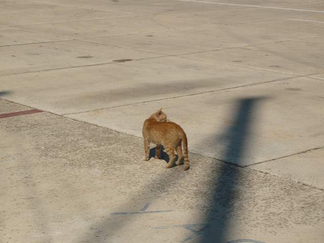 img00657.jpg
