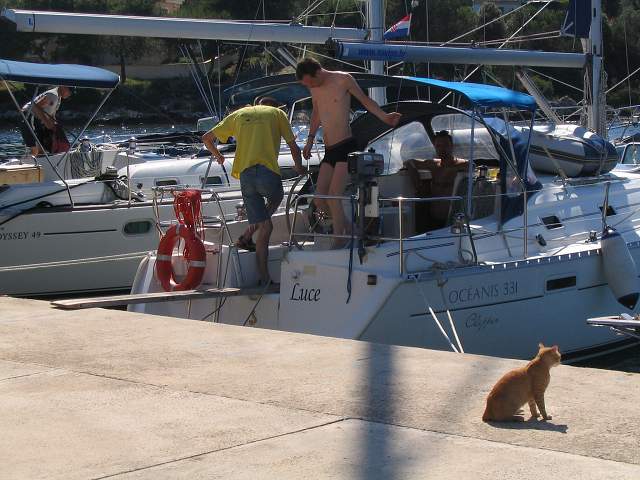 img00668.jpg
