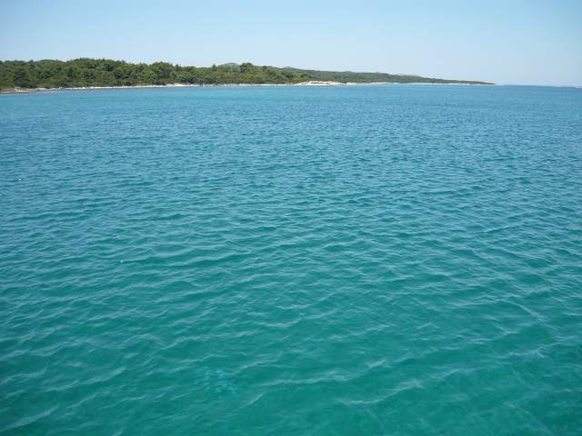 img00693.jpg