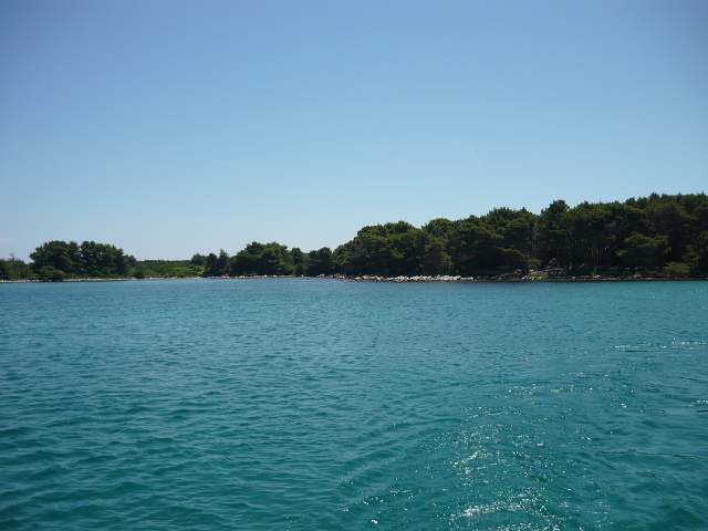 img00711.jpg