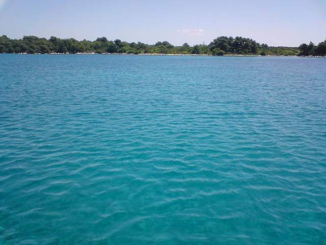 img00715.jpg