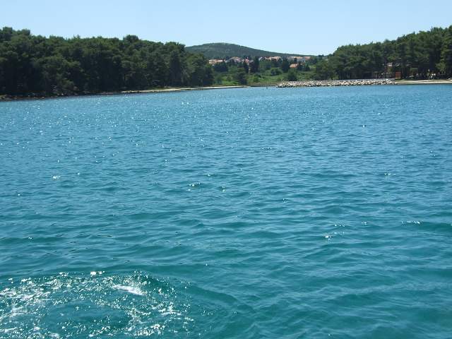 img00723.jpg