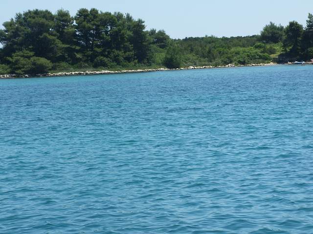 img00724.jpg