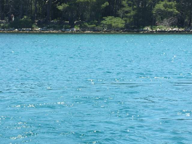 img00726.jpg