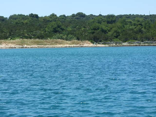 img00728.jpg