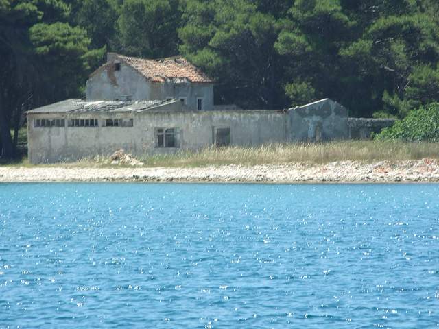 img00729.jpg