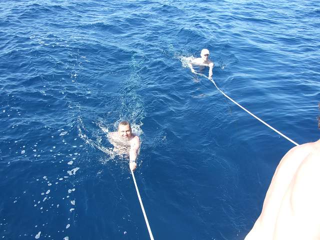 img00749.jpg