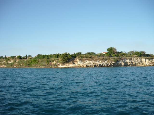 img00771.jpg