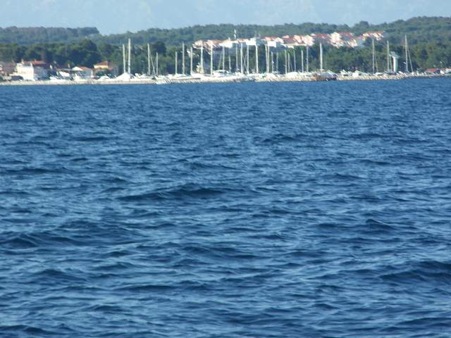 img00783.jpg