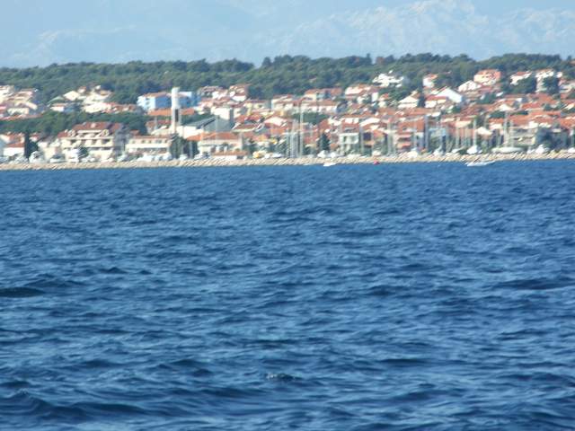 img00784.jpg