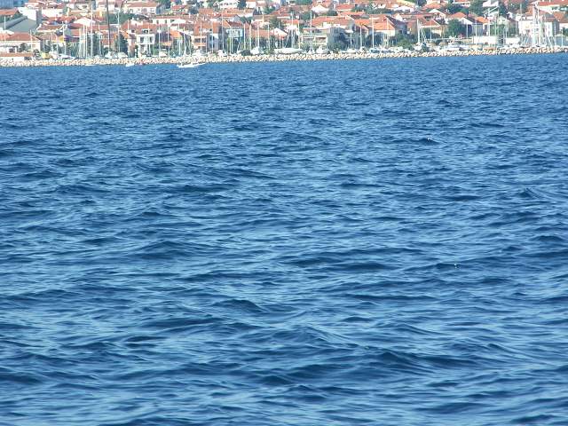 img00786.jpg