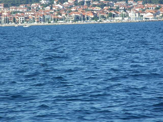 img00787.jpg