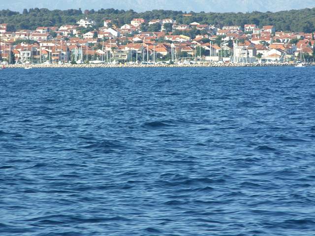 img00788.jpg