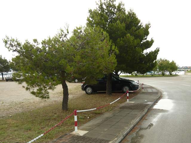 img00834.jpg