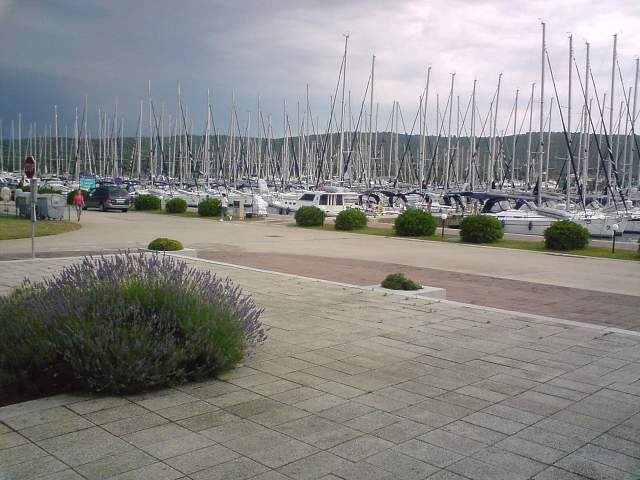 img00843.jpg