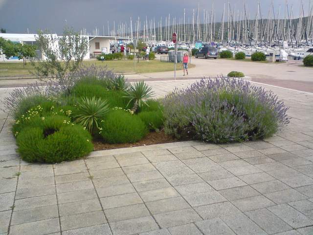 img00844.jpg