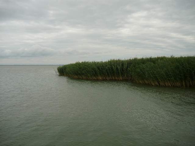 img00869.jpg
