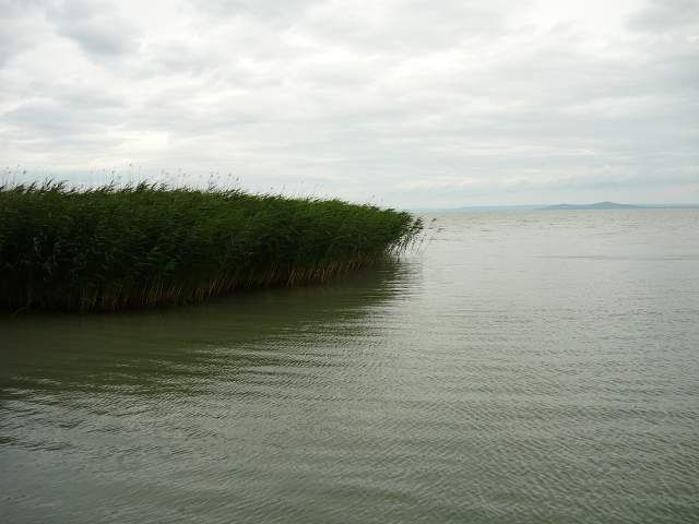 img00872.jpg