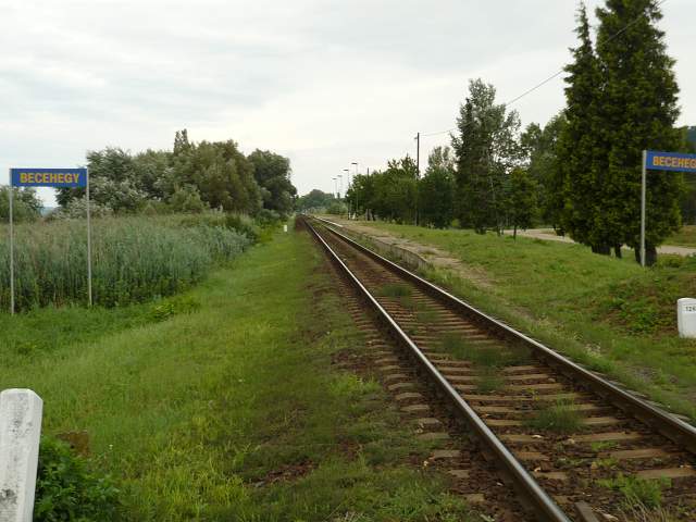 img00880.jpg