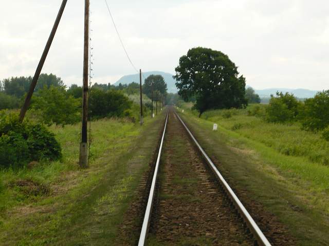 img00881.jpg