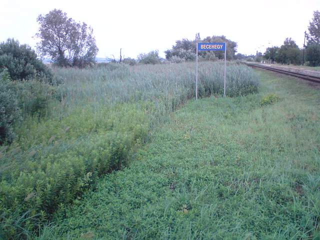 img00888.jpg
